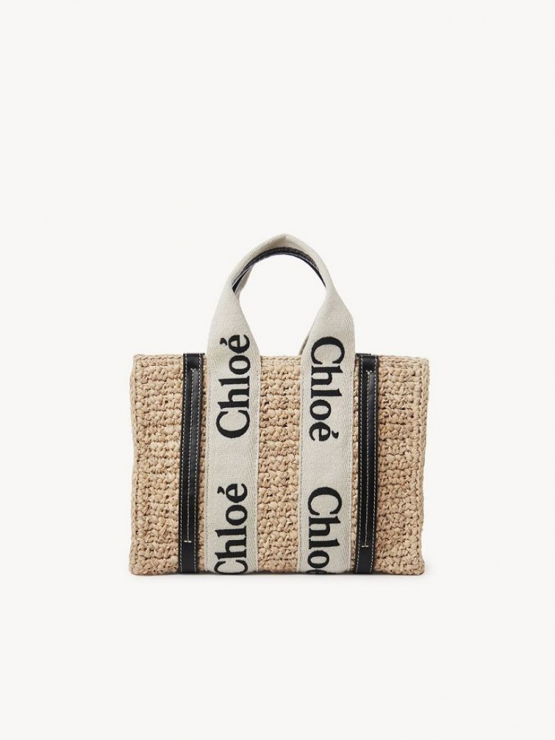 Sand Chloe Small Woody Crossbody Bags | CHE-SR13625