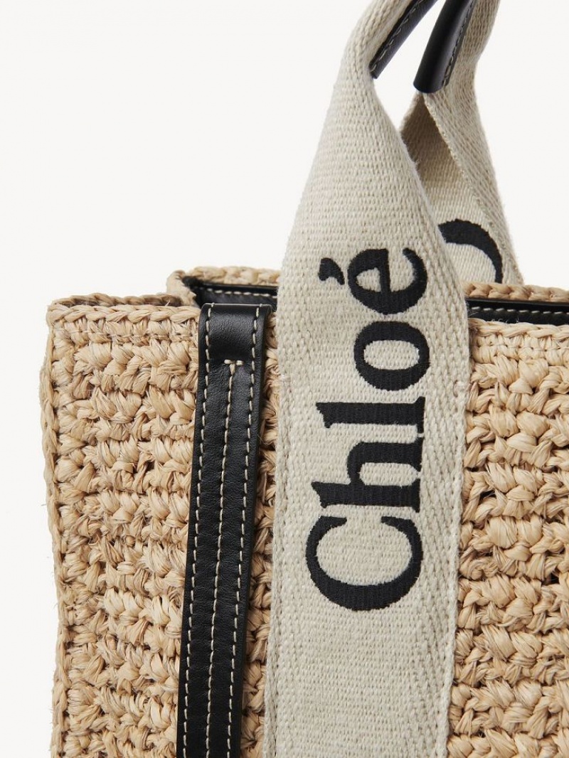 Sand Chloe Small Woody Crossbody Bags | CHE-SR13625