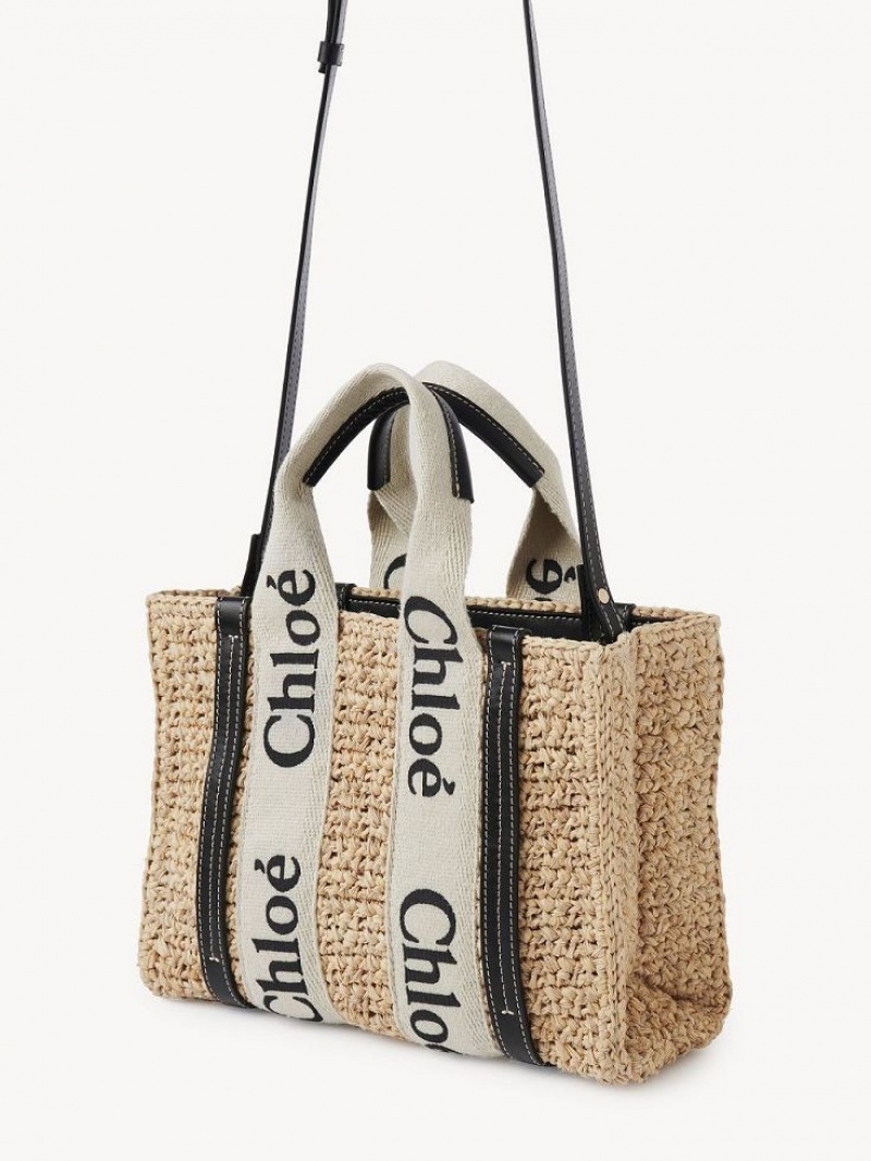 Sand Chloe Small Woody Crossbody Bags | CHE-SR13625