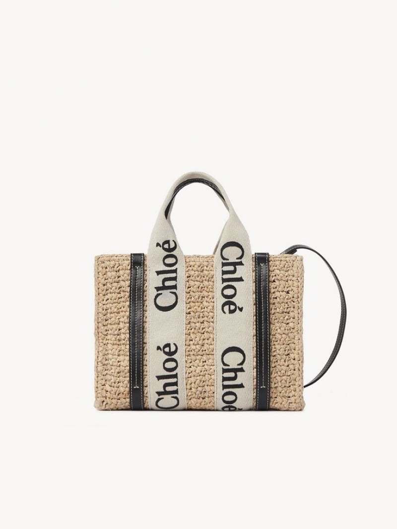 Sand Chloe Small Woody Crossbody Bags | CHE-SR13625