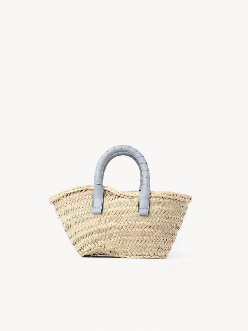 Shady Blue Chloe Marcie Basket Mini Bags | CHE-SR13661